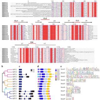 Amino acid sequence alignment, phylogenetic relationships, gene ... 