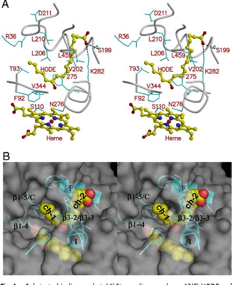 Figure From Modes Of Heme Binding And Substrate Access For Cytochrome