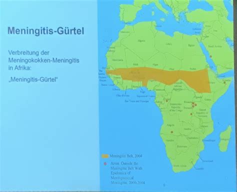 Entzündungen des ZNS Meningitis Enzephalitis Karteikarten Quizlet