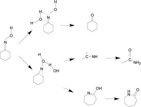 Beckmann Rearrangement Reaction Of Cyclohexanone Oxime In Sub