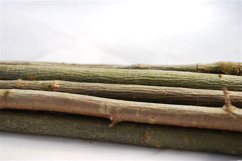 Dried Straight Wood Sticks For Flower Decor Craft Projects