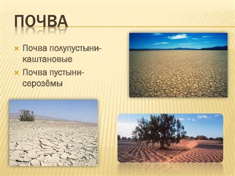 Пустыни и Полупустыни - презентация онлайн