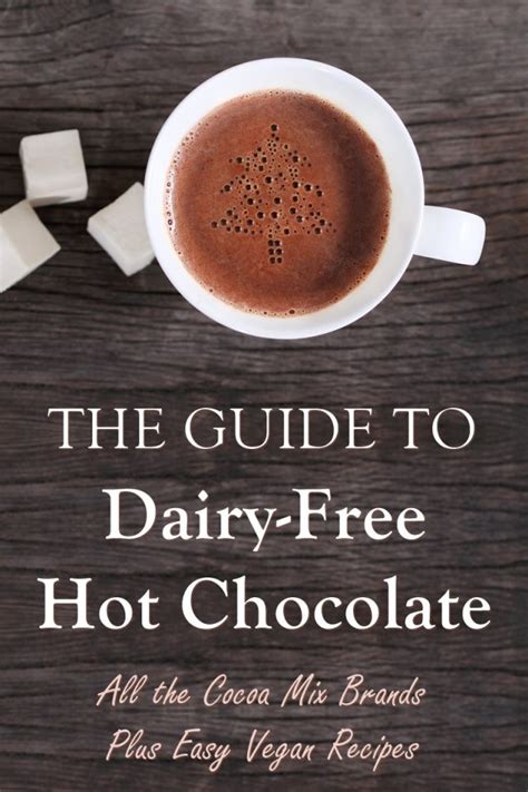 Dairy Free Hot Chocolate Guide With Hot Cocoa Brands And Recipes