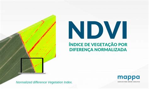 Ndvi E Ndre Entenda As Diferen As Mappa