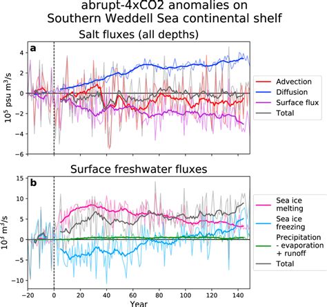 Salt Budget Analysis For The Southern Weddell Sea Continental Shelf The