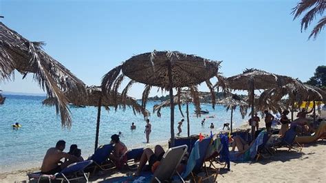 Golden Beach Pefkohori Golden Beach Yorumları Tripadvisor