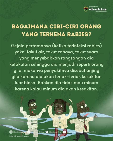 Infografis Waspada Penyakit Rabies Pada Hewan Identitas Unhas