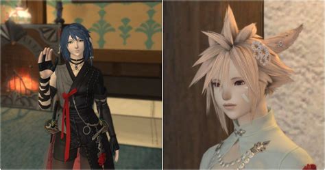 How To Get Every Unique Hairstyle In Final Fantasy XIV