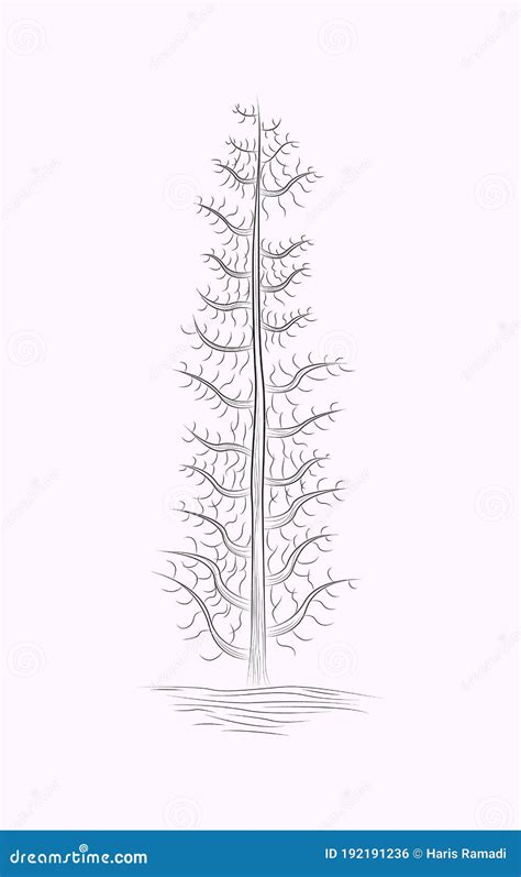 Tree Line Art Black and White Sketches Drawing Stock Illustration ...