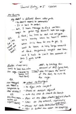 book creator  journal entries