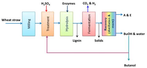 production of butanol