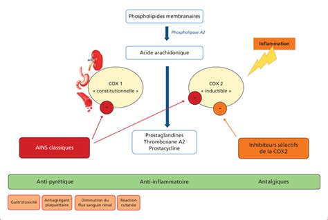 JLE Hépato Gastro Oncologie Digestive Actualité sur l