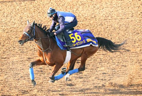 【有馬記念】凱旋門賞4着のスルーセブンシーズに尾関調教師「体調はいい感じです」 ダートコースで調整 Umatoku 馬トク