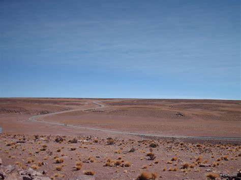 Ecosistema Terrestre Matorral Bajo Tropical Andino De Fabiana Ramulosa