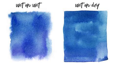 Watercolor Wet On Wet Vs Wet On Dry Tutorial Tips Tricks