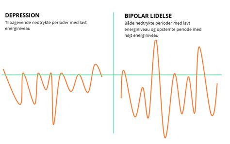 Fakta Om Bipolar Lidelse Depressionsforeningen