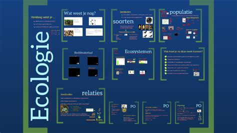 Ecologie By Wietske Logtenberg