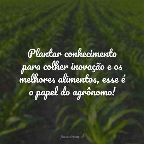 Frases De Agronomia Que Mostram A Import Ncia Dessa Profiss O