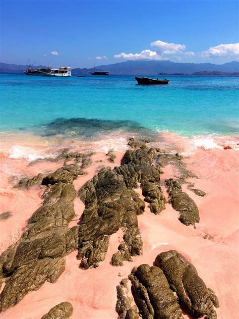 A Beautiful Pink Beach And Blue Clear Water From Komodo Island Komodo