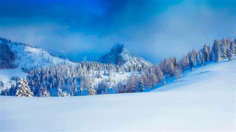 Beautiful Snow Covered Trees Mountains Winter Field Under Blue Sky HD ...