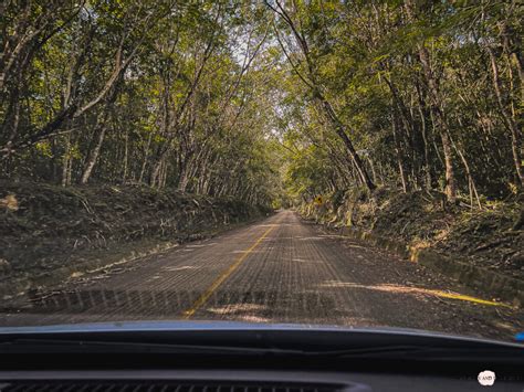 Calakmul Spektakul Re Maya Ruinen Mitten Im Dschungel