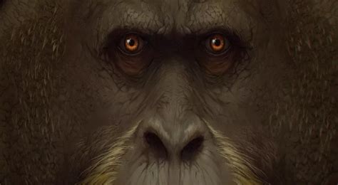 L Enigma Dell Estinzione Del Gigantopithecus Blacki Un Viaggio Nel