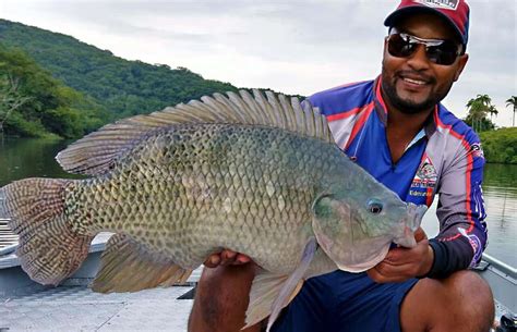 Calendário de Pesca 2023 marque sua pescaria conforme a lua