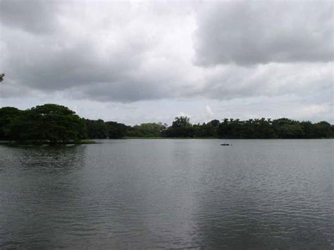 Karanji Lake, Mysore - Timings, Boating, Best Time to Visit