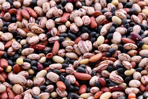 Health Benefits Of Beans Nutrients In Beans ASweatLife