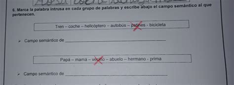 6 Marca La Palabra Intrusa En Cada Grupo De Palabras Y Escribe Abajo