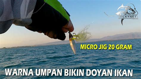 INI NIH WARNA UMPAN BIKIN DOYAN SEMUA JENIS IKAN MICRO JIG 20 GRAM