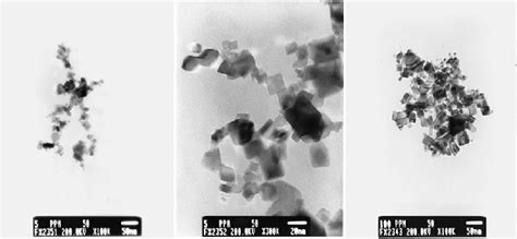 Tem Micrographs Of Suspensions Of N Particles In Water At Mg L A