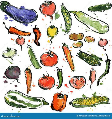 Set Of Drawing Vegetables And Fruits Vector Illustration