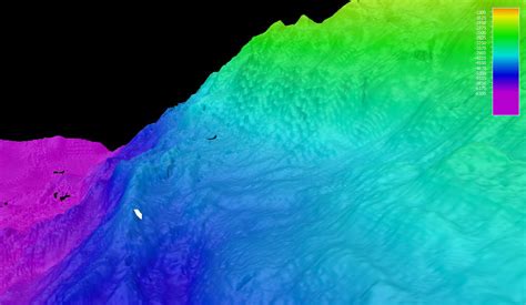 The Remotely Operated Vehicle Track For Dive 19 Shown As A White Line