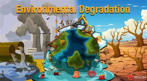 Essay On Environmental Degradation Causes Solutions