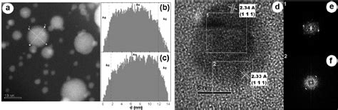 Typical Haadf Micrograph Of The Sample Co Implanted With 5×10 16 Ions