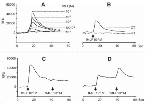 Calcium Ca 2c Mobilization In Human Hepatoma Cells Induced By Fmlf Download Scientific