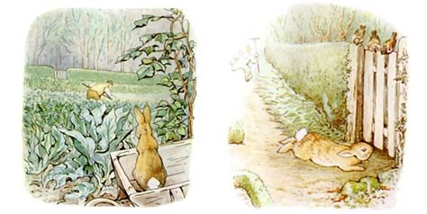 Right Left Game Story The Tale Of Peter Rabbit