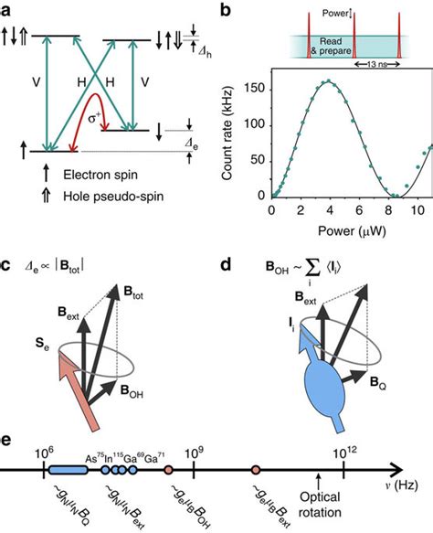 Optical Access To InGaAs Quantum Dot Spins And Relevant Spin Dynamics