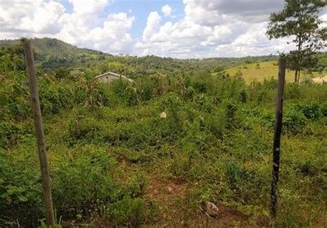 Terrenos à venda no Urucuia em Esmeraldas Chaves na Mão