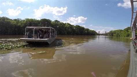 Honey Island Swamp Tour Youtube