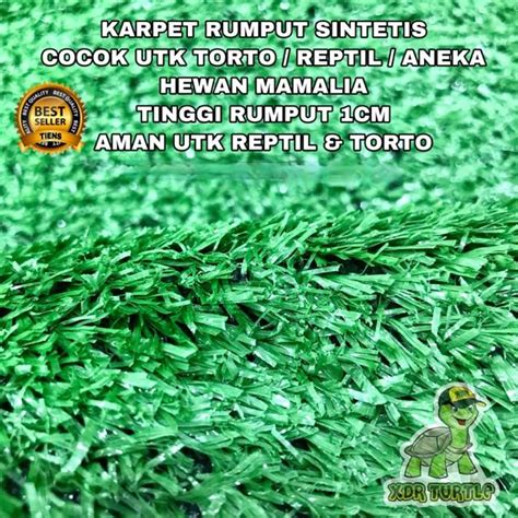 Jual Karpet Rumput Sintetis Alas Kandang Hewan Reptil Alas Taman