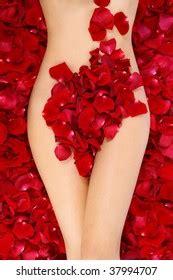 Perfect Torso Slim Tanned Naked Woman Stock Photo Shutterstock