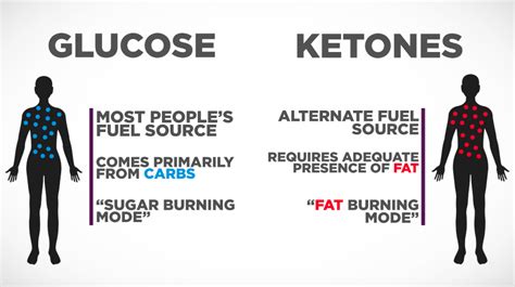 What is Ketosis? | Biglee