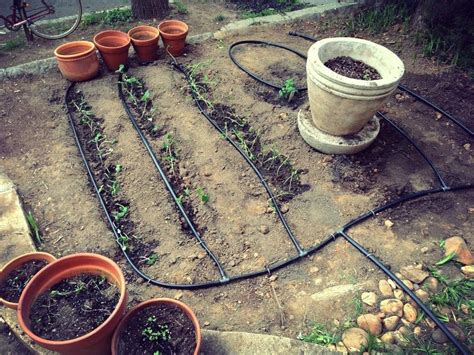 gravity drip irrigation system gardening