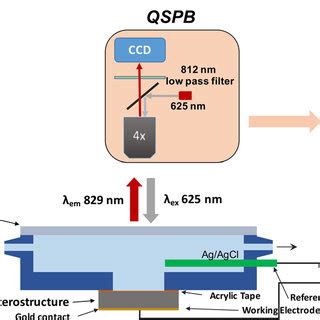 Schematic Cross Sectional View Of The GaAs Al 0 35 Ga 0 65 As QW