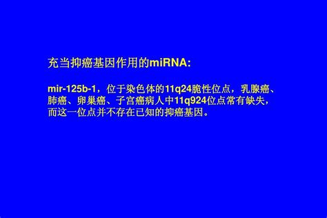 生化与分子生物学前沿 非编码rnaword文档在线阅读与下载无忧文档