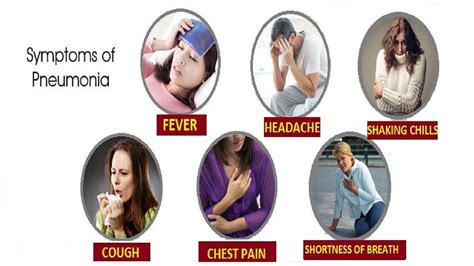 Symptoms Of Pneumonia And Its Treatment Causes Prevention