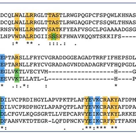 Active Site Sequence Alignments Of Pol Exo Regions Of HSV 1 VZV CMV