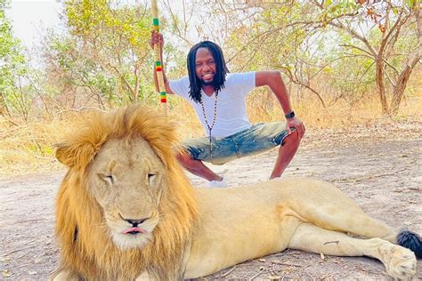 Lion Walk In Fathala Reserve